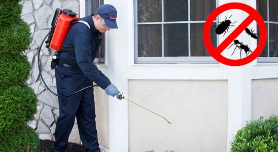 Güzelbahçe Karınca İlaçlama böcek ilaçlama ve haşere kontrolü — ilaclama-tr.com